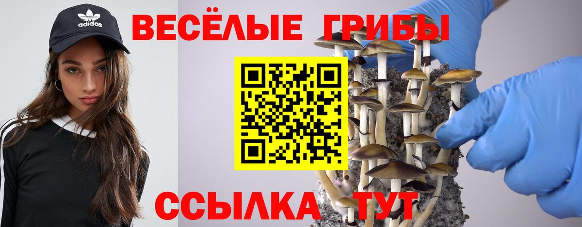Нягань  Галлюциногенные грибы GOLDEN TEACHER  Вход с VPN 